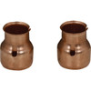 Bussmann 0-30A 250V 60A Clips Fuse Reducer (2-Pack) NO.263 505297