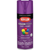 Krylon Colormaxx Gloss Spray Paint & Primer, Rich Plum K05536007 772691