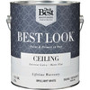 Best Look Brlnt Wht Ceiling Paint HW36W0840-16
