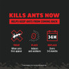 Amdro 1.28 Oz. Solid Ant Bait Stake (8-Pack) 100550455 709193