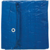 Do it Best Blue Woven 10 Ft. x 12 Ft. General Purpose Tarp 725317 725317