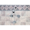 Home Impressions Chrome 2-Handle Metal Lever Tub & Shower Faucet F2014501CP-JPA3 400713