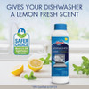 Glisten Dishwasher Cleaner, 12 Oz. DM06N 430935