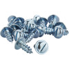 Frost King Outdoor Chair Webbing Screws (20-Pack) ZP1 819154