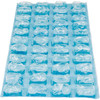 Igloo Maxcold 1 Lb. Blue Ice Cube Sheet 25078 806625
