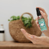 Mrs. Meyer's Clean Day 2 Oz. Basil Hand Sanitizer 11152 616216