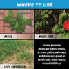 Ortho GroundClear Super 1 Gal. Weed & Grass Killer with Comfort Wand 4652705 760459