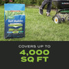 Scotts Turf Builder 17.2 Lb. 4000 Sq. Ft. Triple Action Built For Seeding 23001 748394