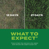 Turf Builder 5.6# Rpd Ss Grass Seed 18213 705975