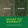 Turf Builder 5.6# Rpd Ss Grass Seed 18213 705975