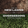 Turf Builder 5.6# Rpd Ss Grass Seed 18213 705975
