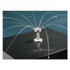 Bird Barrier Bird Repellent,Daddi Long Legs,8 ft. DD-8000