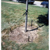 Manufacturer Varies Tree Stake Kit,Polypropylene,Black RS15