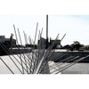 Bird-X Bird Repellent Spikes,10 ft L,4 1-2 in W STS-10