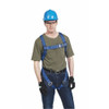 3m Protecta AB17510