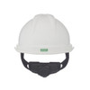 Msa Safety 10034018