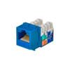 Monoprice Datacom Jack,Cat6,Punch Down,Blue 5379