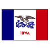 Annin Flagmakers Iowa State Flag,3x5 Ft 141760