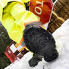 Due North V3550570-L