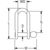 Ronstan D-Shackle,2,975 lb,316 Stainless Steel RF618