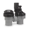 Rain Bird Valve,Antisiphon,3/4in DASASVF075