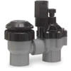Rain Bird Valve,Antisiphon,3-4in DASASVF075
