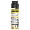 Raid Insect Killer,Indoor and Outdoor,15 oz. 300819
