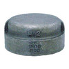 Anvil Cap Cap, 1/2" Pipe, FNPT, Malleable Iron, Class 3000 0318901303