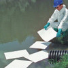 Pig Sorbent Pad, 22 gal, 15 in x 20 in, Oil, White, Polypropylene MAT460