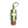 Air Safety Valve, Soft Seat, 1/4 in (M)NPT Inlet, 200 psi Preset Setting