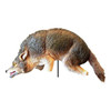 Bird-X Coyote Decoy,16 in H,Brown/White COYOTE 3-D