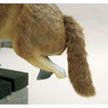 Bird-X Coyote Decoy,16 in H,Brown-White COYOTE 3-D