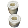 Pleated Filter Cartridge, 70 gpm, 0.2 Micron, 2-3-4" O.D., 10 in H  PG-10110-002-01