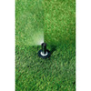 Rain Bird Spray Head for Shrubs,4 in. H 1802QDS