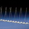 Bird Barrier Bird Repellent Spikes,Bird-Flite,50 ft. BP-F150
