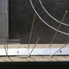 Bird Barrier Bird Repellent Spikes,Bird-Flite, 10 ft. BP-F110