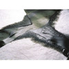 Spilltech Sorbent Pad, 17 gal, 15 in x 19 in, Oil, White, Polypropylene WP100S