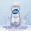Dial Antibacterial Defense 7.5 Oz. Fresh Lavender + Aloe Foaming Hand Wash 2138227 606843