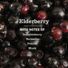 Mrs. Meyer's Clean Day 16 Oz. Elderberry Liquid Dish Soap 12075 607064