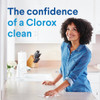 Clorox 24 Oz. Disinfecting Bleach 32251 Pack of 12 637213