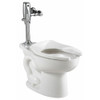 Toilet Bowl, 1.1 to 1.6 gpf, Flushometer, Floor Mount, Elongated, White  3451001.020