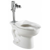 Toilet Bowl, 1.1 to 1.6 gpf, Flushometer, Floor Mount, Elongated, White  3451001.020