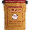 Mrs. Meyer's Clean Day 7.2 Oz. Apple Cider Large Soy Candle 11592 619001