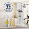 SodaStream 14.9 Oz. Diet Ginger Ale Sparkling Drink Mix 1425602010 644416