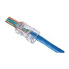 Modular Plug, Unshielded, CAT 5e, Clear, Pass-Through End Termination, 50 PK