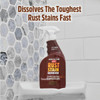 Whink 24 Oz. Rust Stain Remover Foaming Spray 349944 609384