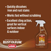 Whink 24 Oz. Rust Stain Remover Foaming Spray 349944 609384