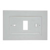 Emerson Wallplate, Wall Mount, White F61-2663