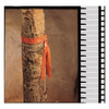 Flagging Tape, No Legend, Orange, 1 in Wide x 300 ft Length, Vinyl, 2.5 mil