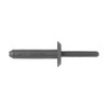 Blind Rivet, Dome Head, 1/4 in Dia., 1-1/4 in L, Nylon Body, 25 PK